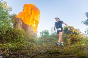 BIB: 
                            <button type="button" onclick="openModal(19301948)" class="btn btn-primary btn-sm float-right btn-popup" data-toggle="modal" data-target=".modal-high-quality">
                        <i class="fas fa-shopping-cart"></i> Add to Cart
                    </button>
                                            <button type="button" onclick="isThisMe(19301948, true)" class="btn btn-success btn-sm float-right btn-popup btn-isme hidden" data-toggle="tooltip" data-placement="bottom" title="นี่คือรูปของคุณใช่ไหม คลิกที่นี่เพื่อเอาเข้าอัลบั้ม">
                        <i class="fas fa-plus"></i> Add to album
                    </button>
                    <button type="button" onclick="isThisMe(19301948, false)" class="btn btn-warning btn-sm float-right btn-popup btn-isnotme hidden">
                        <i class="fas fa-ban"></i> Remove from album
                    </button>